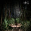 Cover Monte