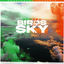 Cover Birds In The Sky (Irish Remix Pack)