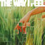 Cover The Way I Feel