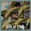Cover Canela (Duck Sessions)