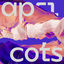 Cover Apricots