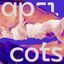 Cover Apricots