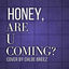Cover HONEY (ARE U COMING?)