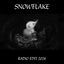 Cover Snowflake (Radio Edit 2024)