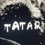 Cover TATAR