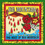 Cover The Best of Big Mountain