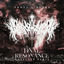 Cover FINAL RESONANCE (Raxeller Remix)