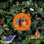Cover Amazing Things