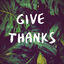 Cover Give Thanks