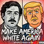 Cover Make America White Again