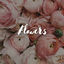 Cover Flowers