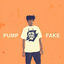 Cover Pump Fake