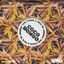 Cover Coco Bongo