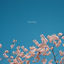 Cover Reaching
