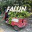 Cover Fallin