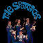 Cover The Spotnicks