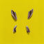 Cover Water Pistol (Killen. Remix)