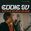 Cover Little Black Flies