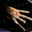 Cover Power Tool Stigmata