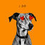 Cover I Do