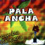 Cover Cumbia Callejera