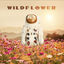 Cover Wild Flower