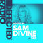 Cover Defected Radio Episode 133 (hosted by Sam Divine) (Mixed)