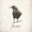 Cover Blackbird