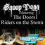 Cover Riders On The Storm (Fredwreck Remix)