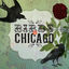 Cover Birds Of Chicago