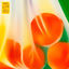 Cover ÉPICERIE FINE (vol.1)