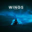 Cover Wings