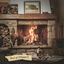 Cover Home