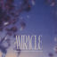 Cover Miracle - RÜFÜS DU SOL Remix