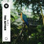 Cover W