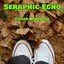 Cover Seraphic Echo