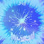 Cover The Blue Sun