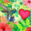 Cover Magdalena Mariposa