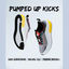 Cover Pumped Up Kicks