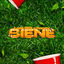Cover Biene