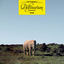 Cover Delfinarium