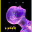 Cover SINDEX VA 005 - Trance Touched