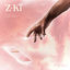 Cover Z-Ki