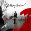 Cover Nothing Special