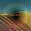 Cover Orienté (New Oriental Trip)