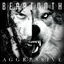 Cover Aggressive