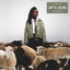 Cover All We Like Sheep