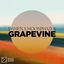 Cover Grapevine