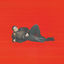 Cover EGO