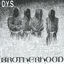 Cover Brotherhood